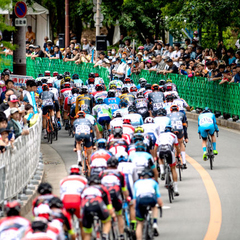 ティム・ケルン 写真集「The Peloton」自転車ロードレース ティム・ケルン 写真集「The Peloton」自転車ロードレース - メルカリ